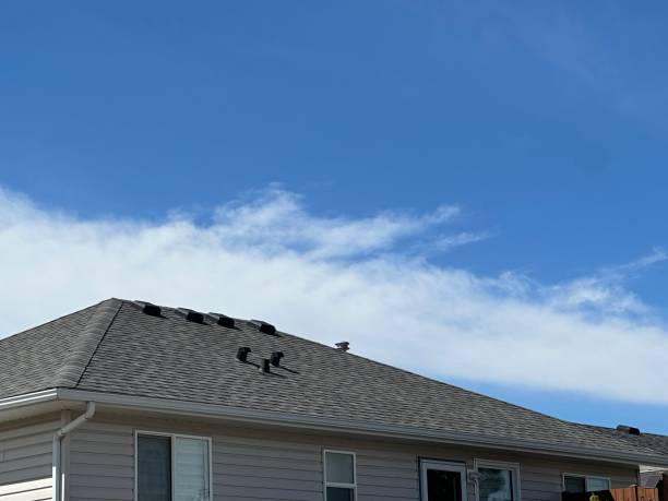 Best Hot Roofs  in El Cerrito, CA